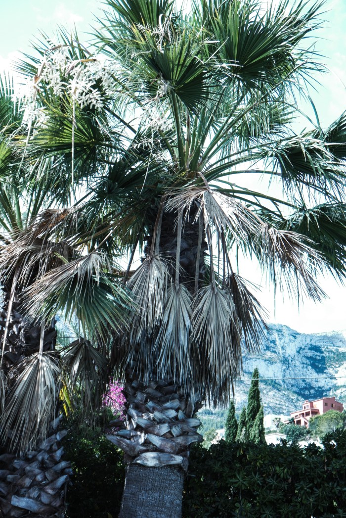 _1010359StylingStyling