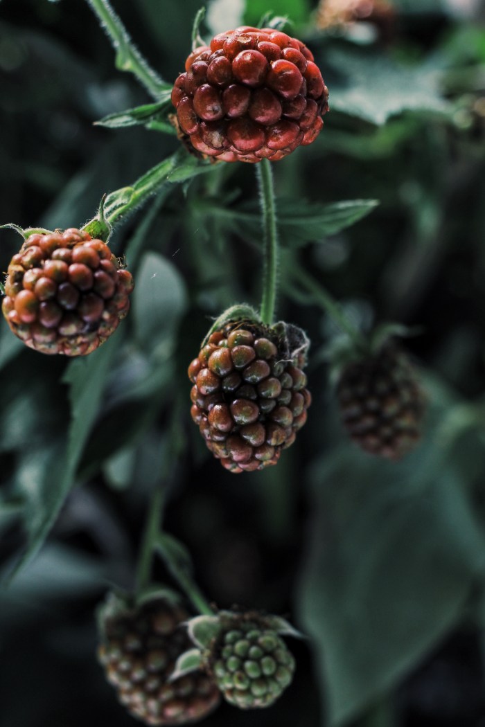 Processed with VSCO with g3 preset